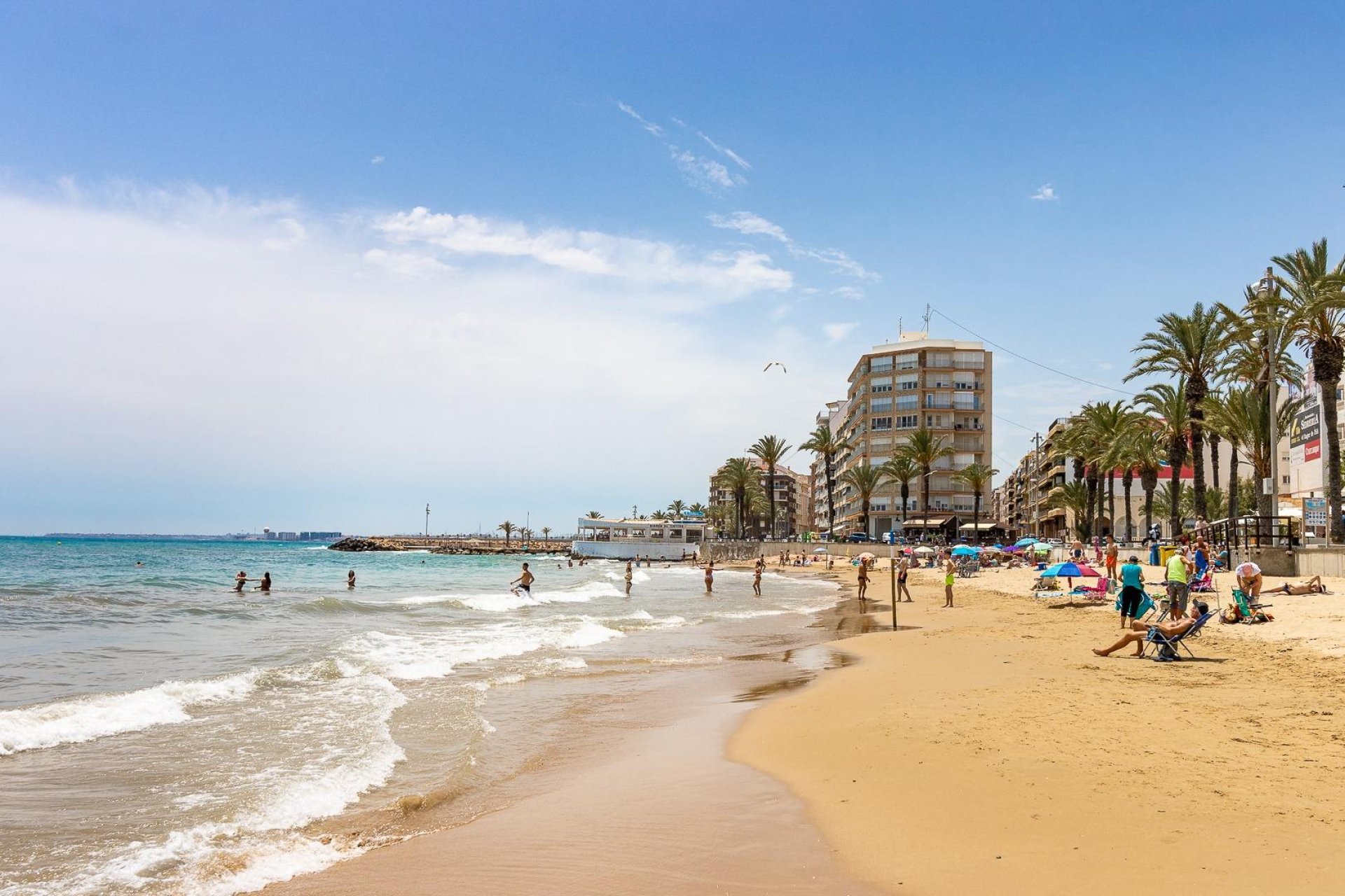 Revente - Appartement -
Torrevieja - Centro