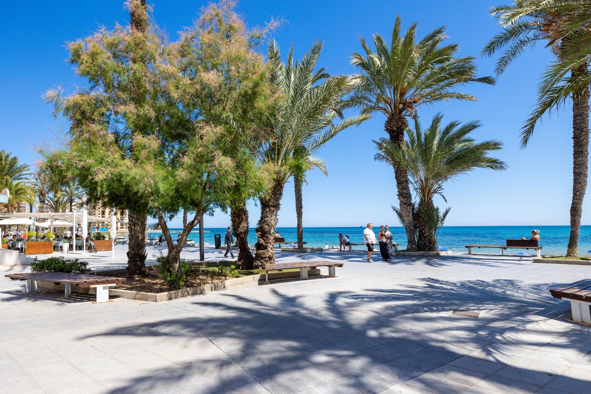 Revente - Appartement -
Torrevieja - Playa del Cura