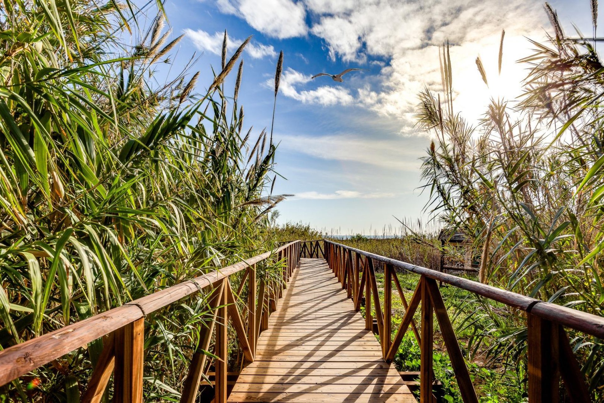 Revente - Attique -
Guardamar del Segura - Urbanizaciones