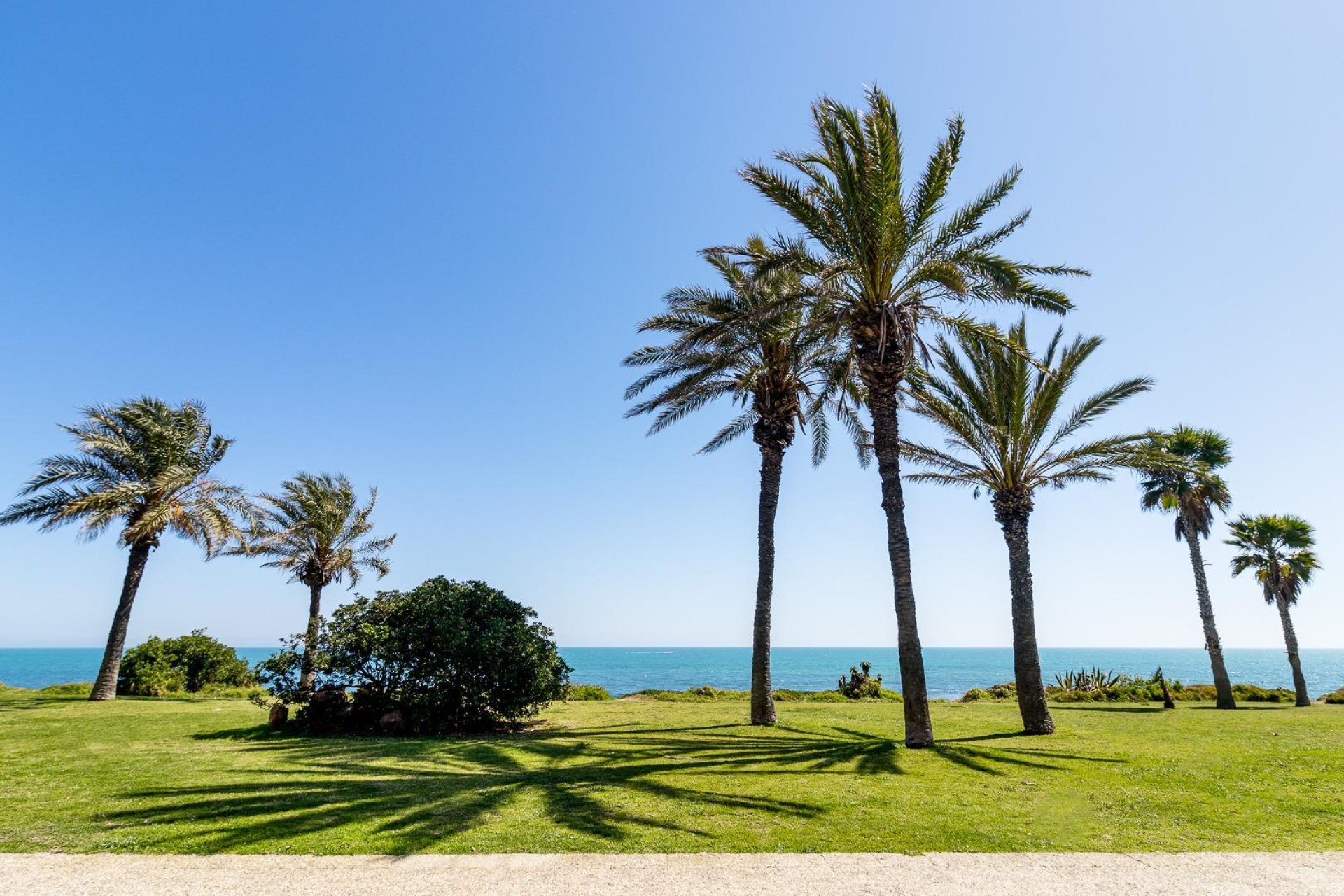 Revente - Attique -
Torrevieja - La Veleta