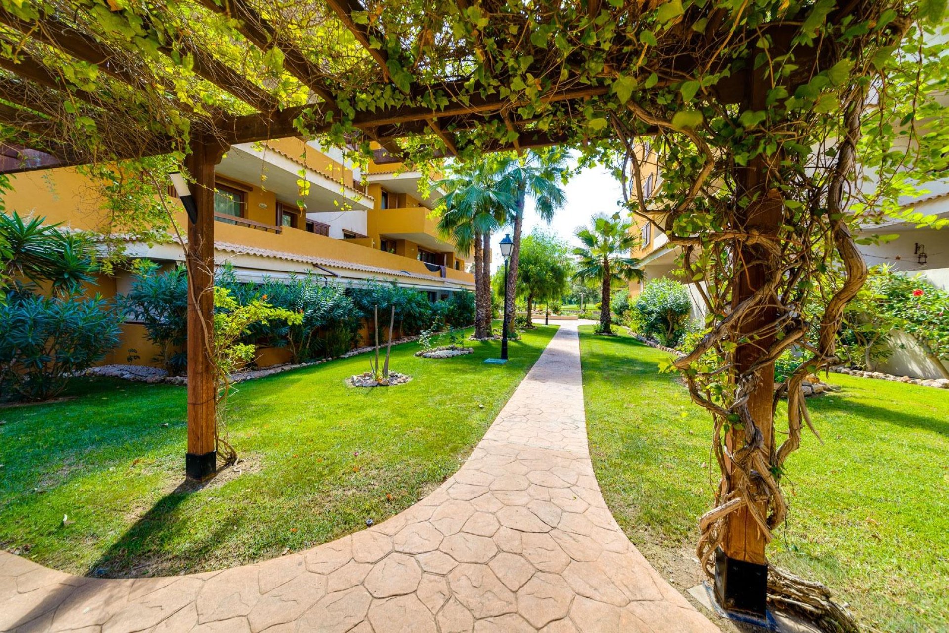 Revente - Attique -
Torrevieja - Punta prima