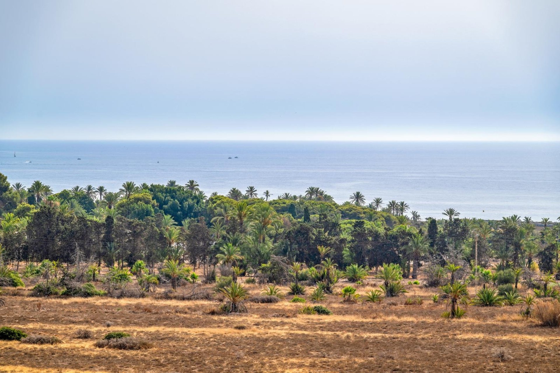 Revente - Attique -
Torrevieja - Punta Prima