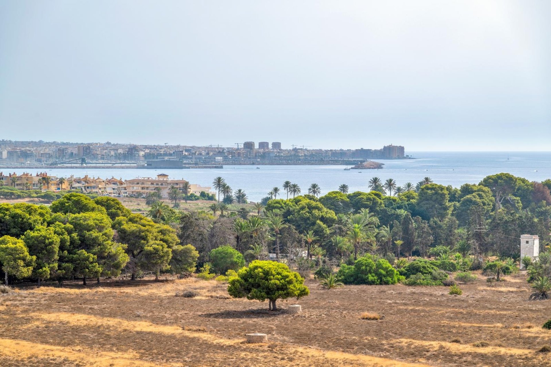 Revente - Attique -
Torrevieja - Punta Prima