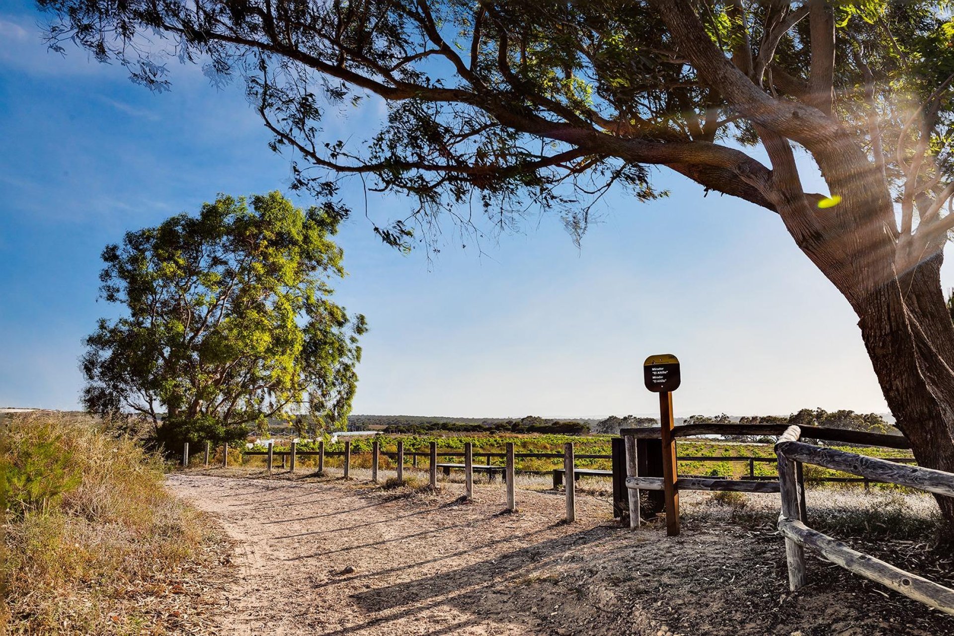 Revente - Maison de ville -
Torrevieja - La Siesta - El Salado - Torreta