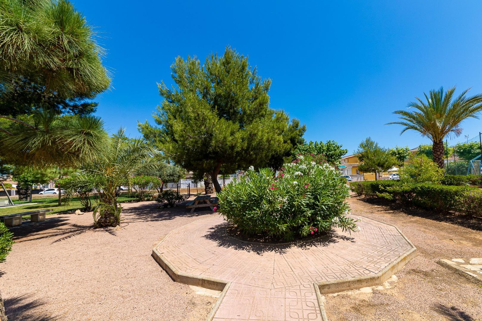 Segunda mano - Adosado -
Torrevieja - La Siesta - El Salado - Torreta