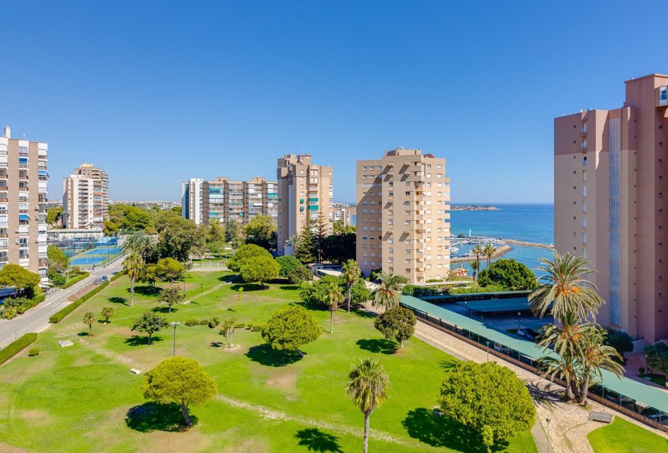 Segunda mano - Apartamento -
Orihuela Costa - Campoamor