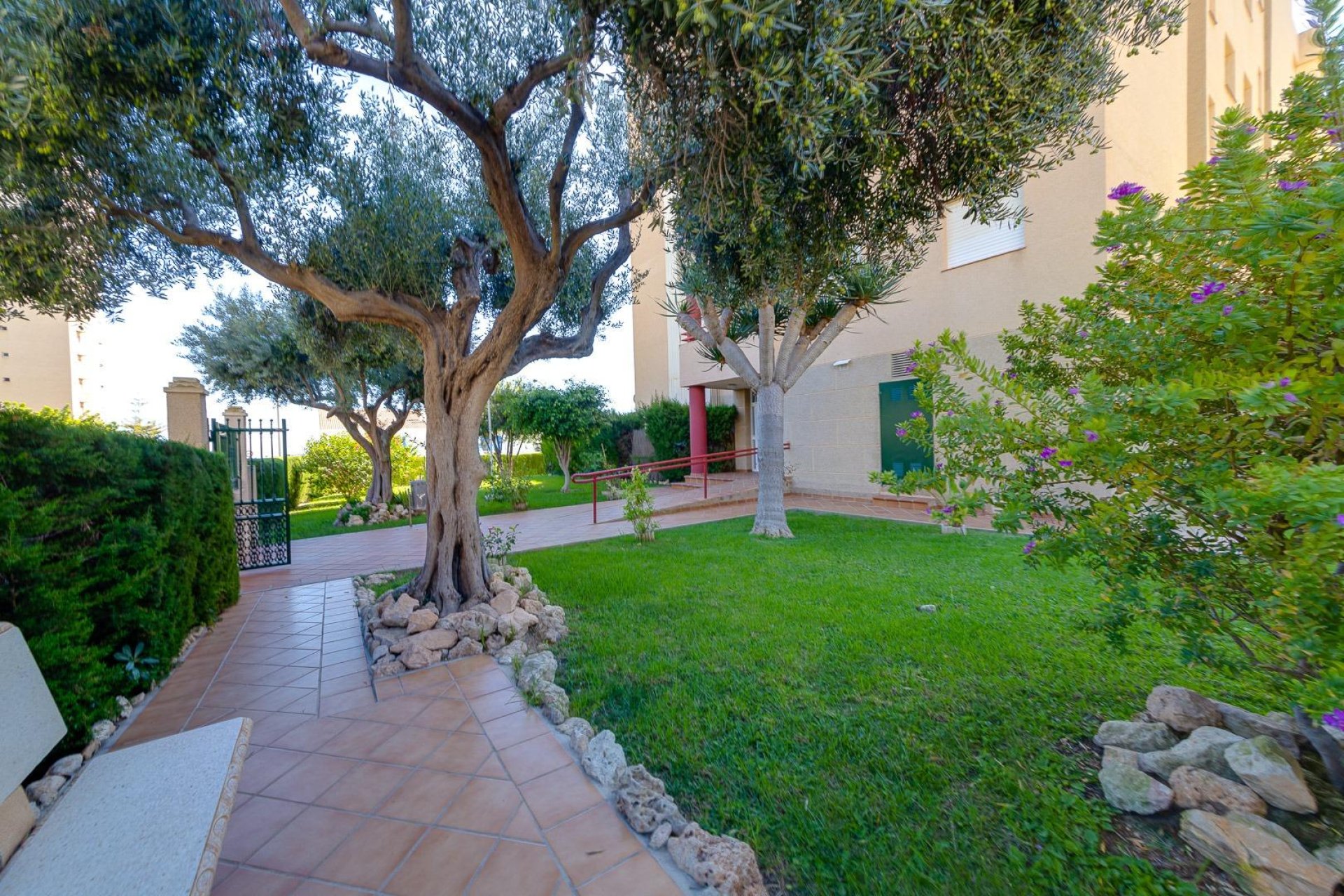 Segunda mano - Apartamento -
Orihuela Costa - Campoamor