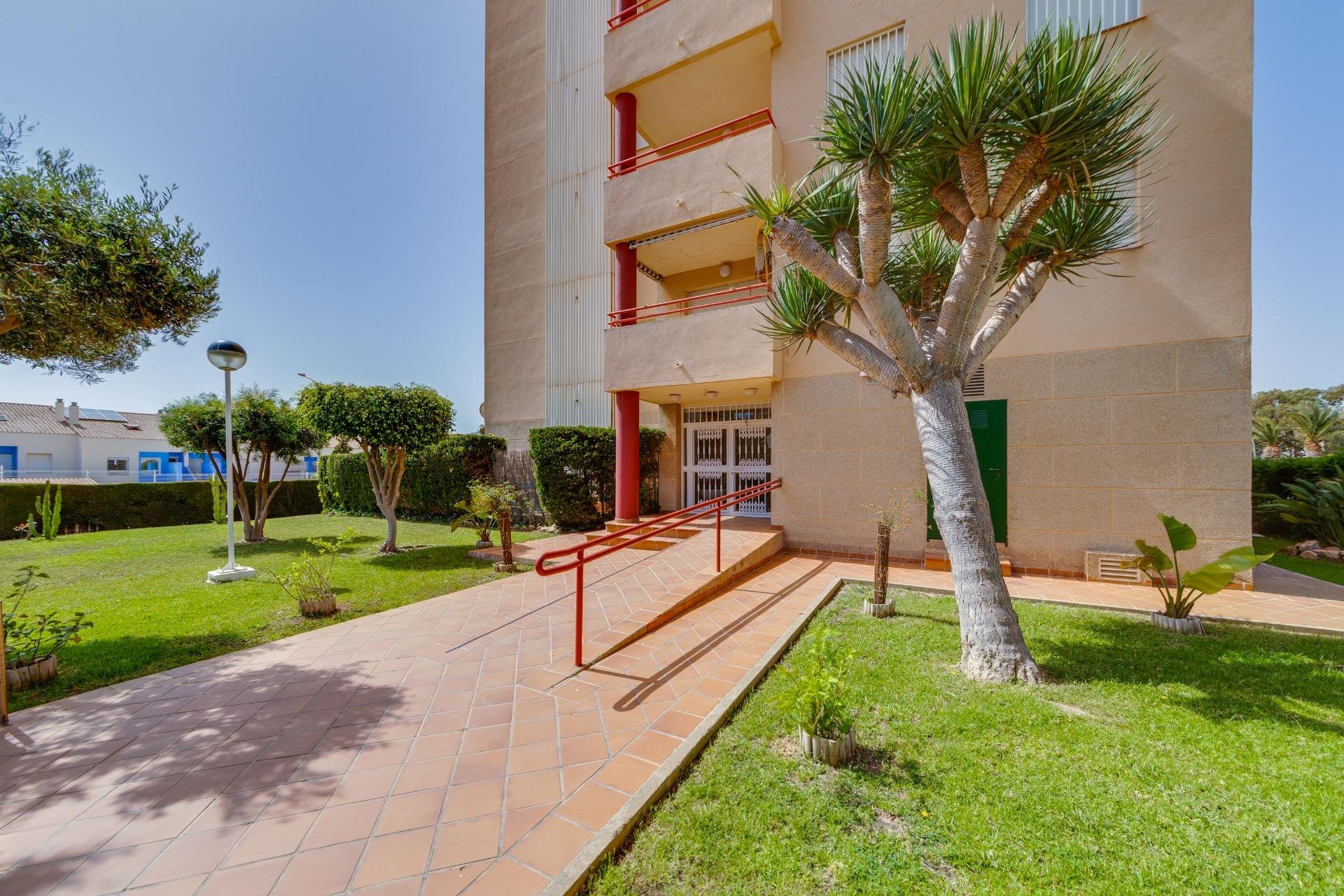 Segunda mano - Apartamento -
Orihuela Costa - Campoamor