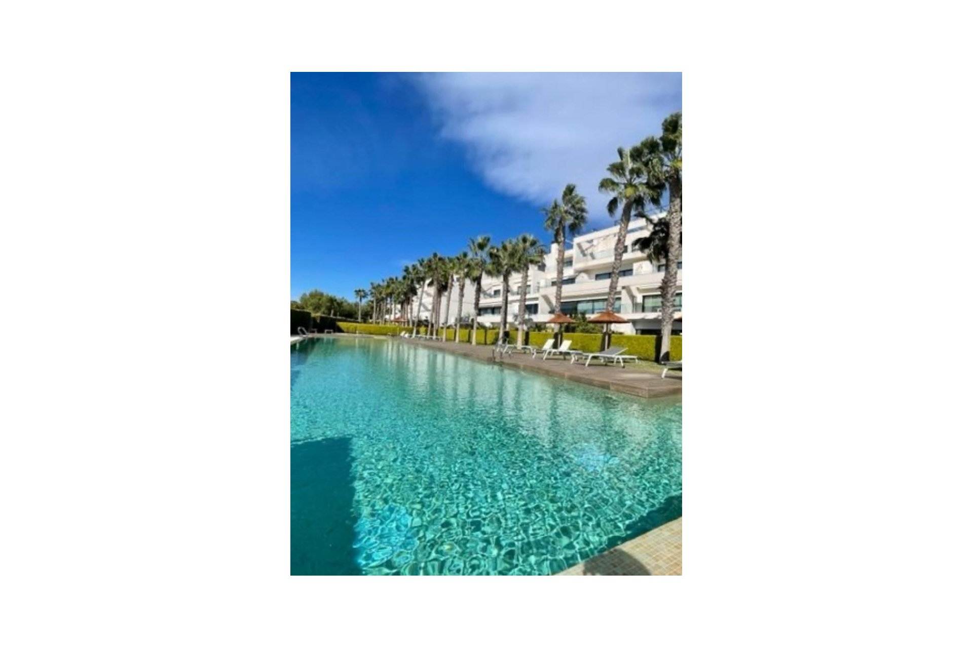 Segunda mano - Apartamento -
San Miguel de Salinas - Las colinas golf and country club