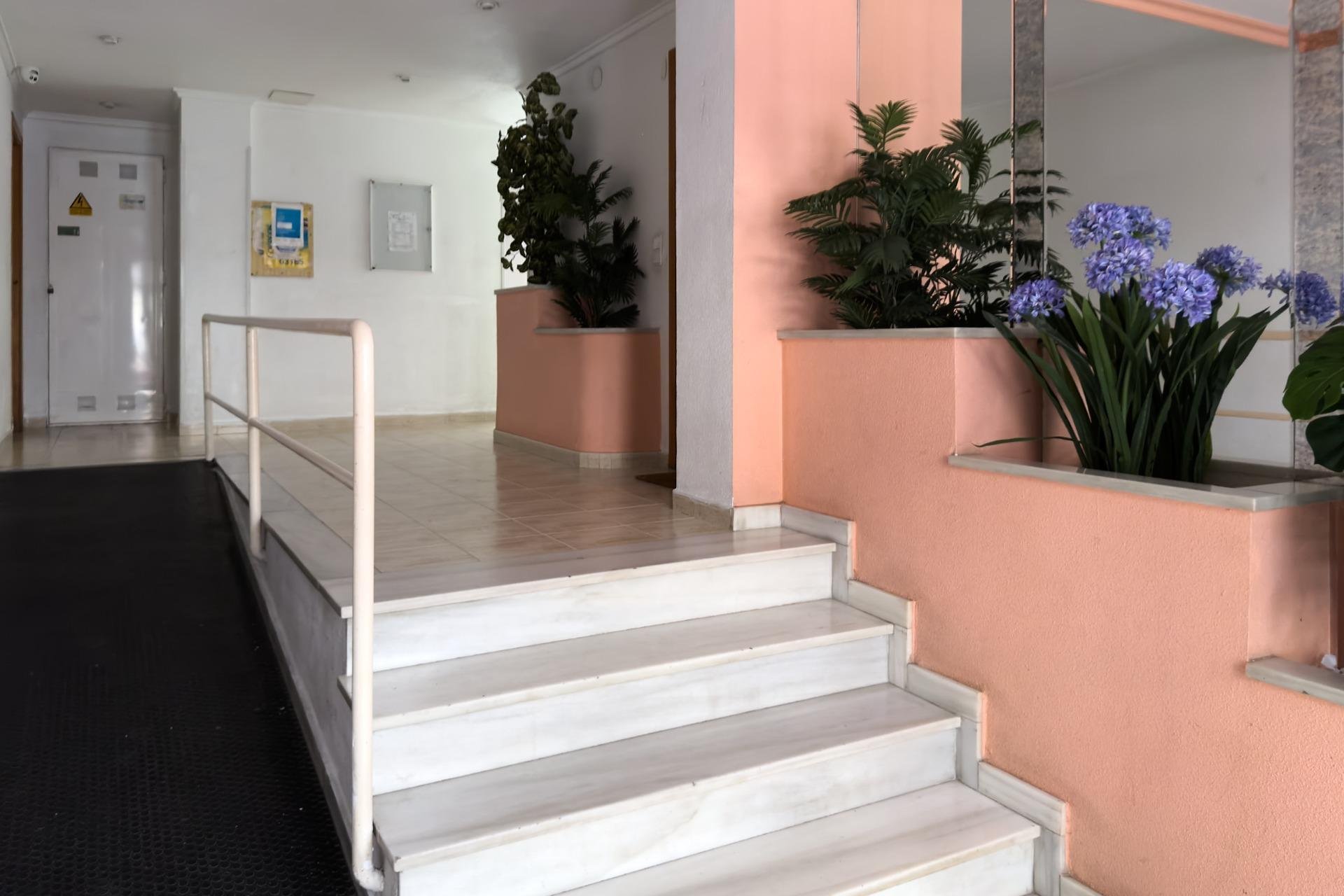 Segunda mano - Apartamento -
Torrevieja - Acequion
