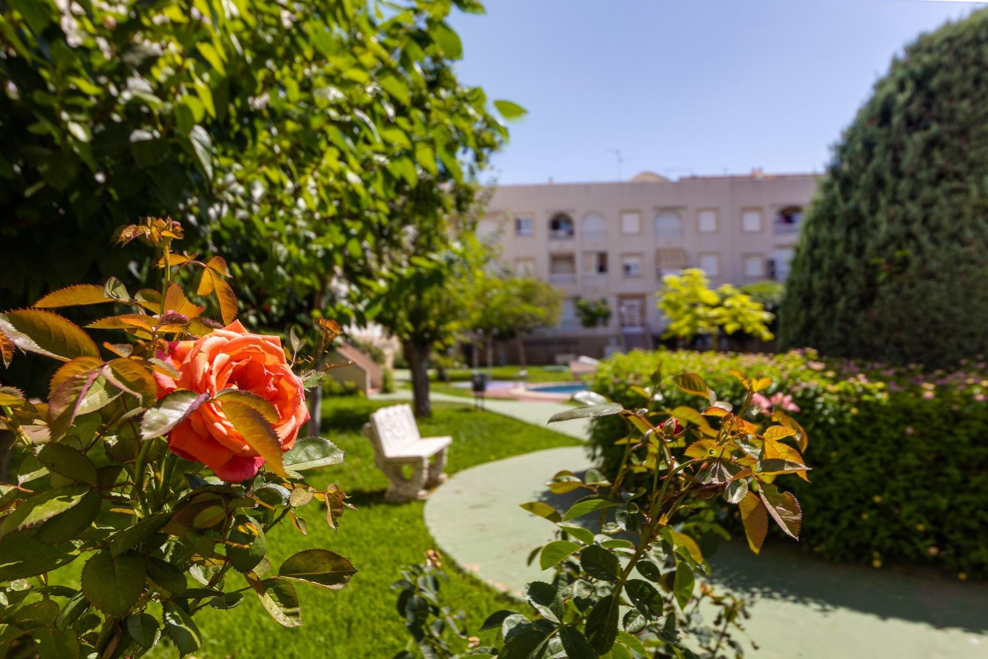 Segunda mano - Apartamento -
Torrevieja - Acequion