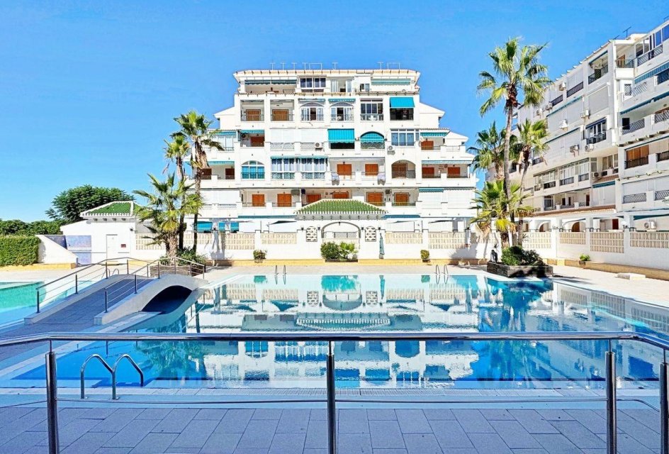 Segunda mano - Apartamento -
Torrevieja - Los Europeos