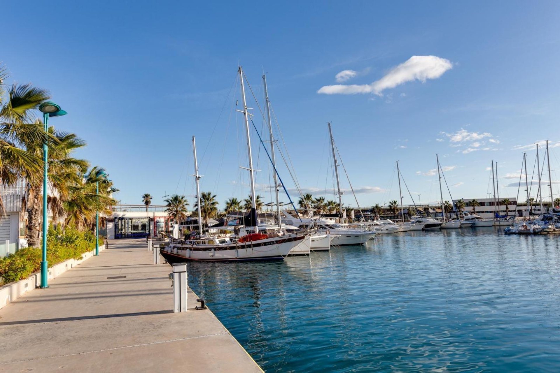 Segunda mano - Apartamento -
Torrevieja - Paseo maritimo