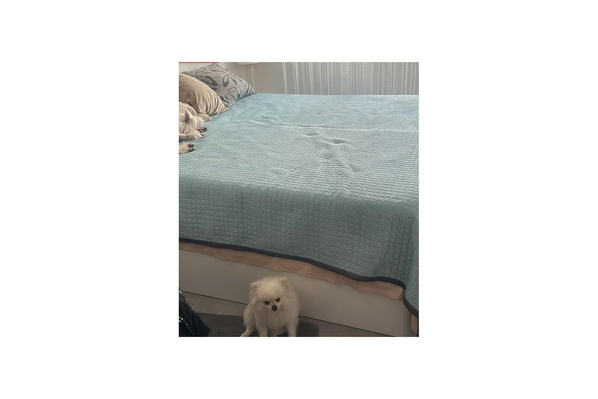 Segunda mano - Apartamento -
Torrevieja - Playa de los Locos
