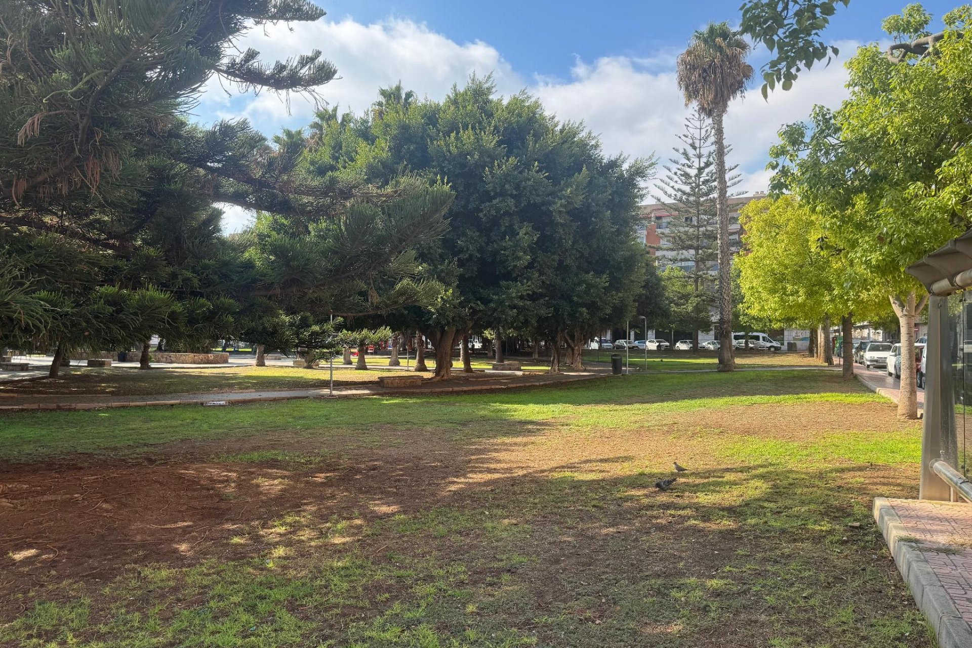 Segunda mano - Apartamento -
Torrevieja - Playa del Acequión