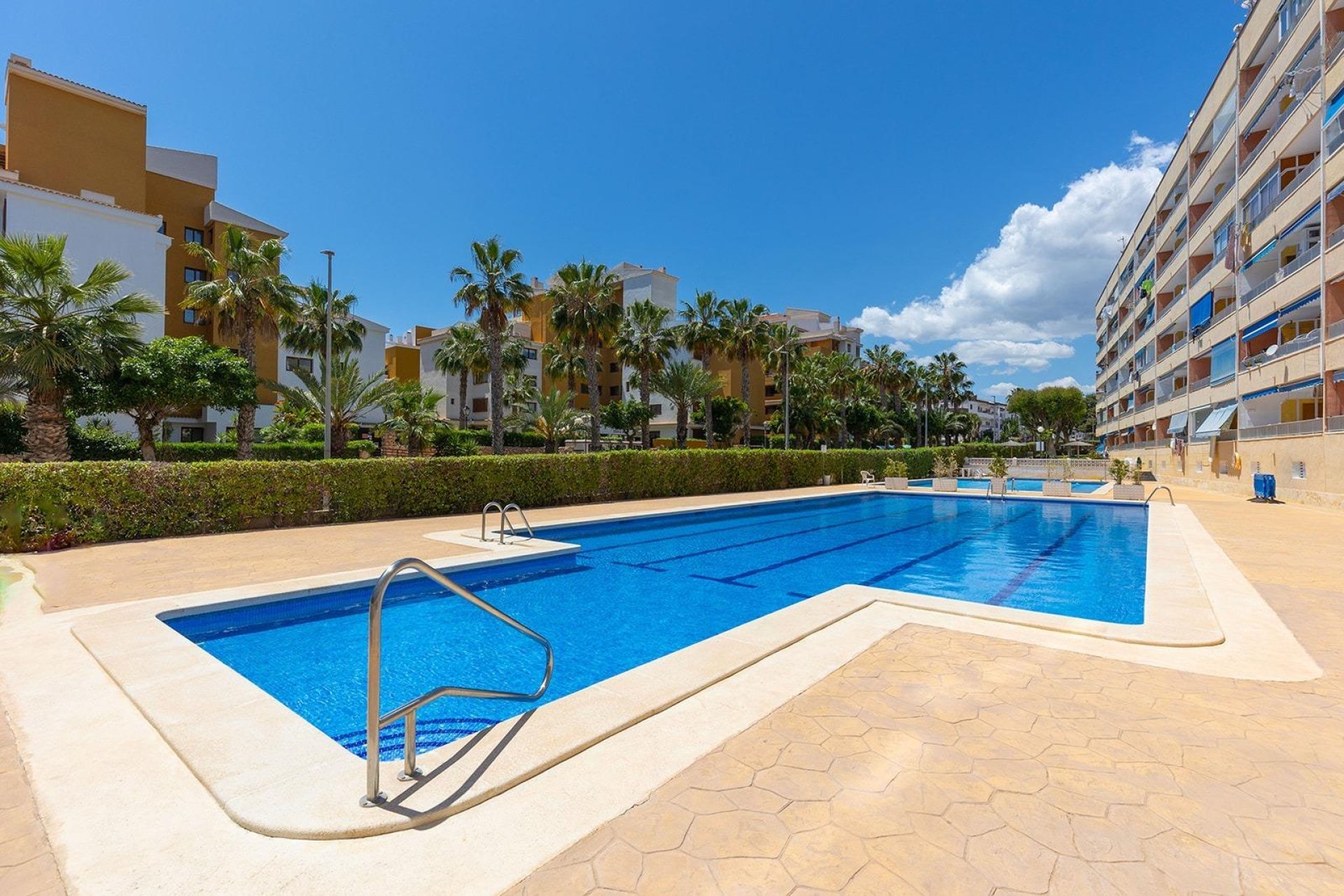 Segunda mano - Apartamento -
Torrevieja - Punta prima