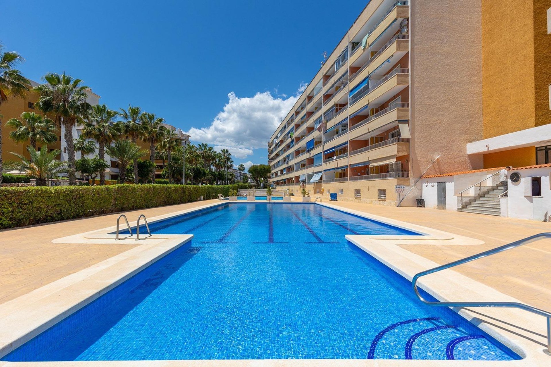 Segunda mano - Apartamento -
Torrevieja - Punta prima