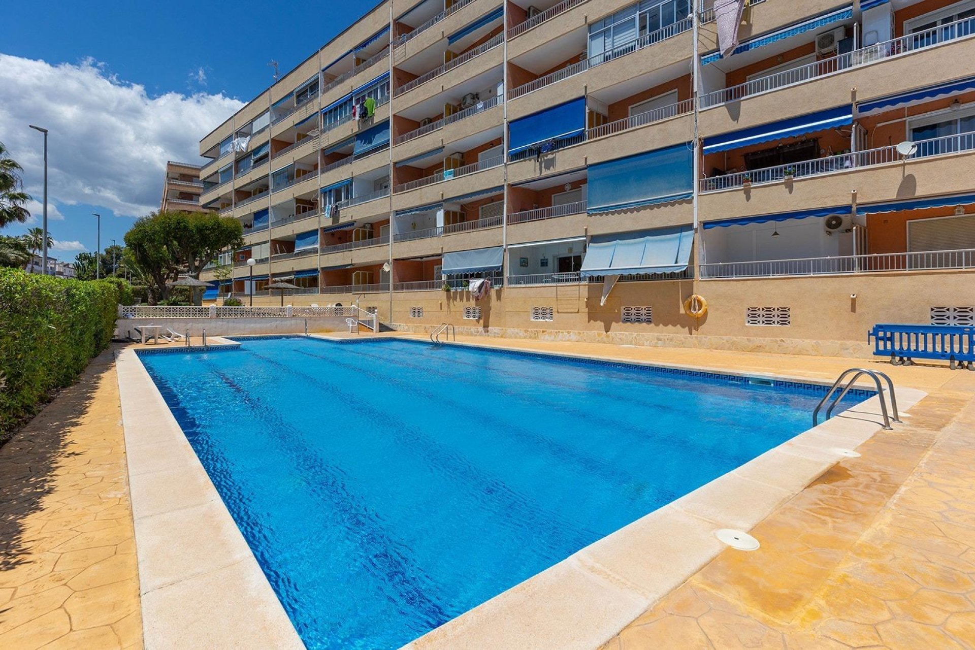 Segunda mano - Apartamento -
Torrevieja - Punta prima