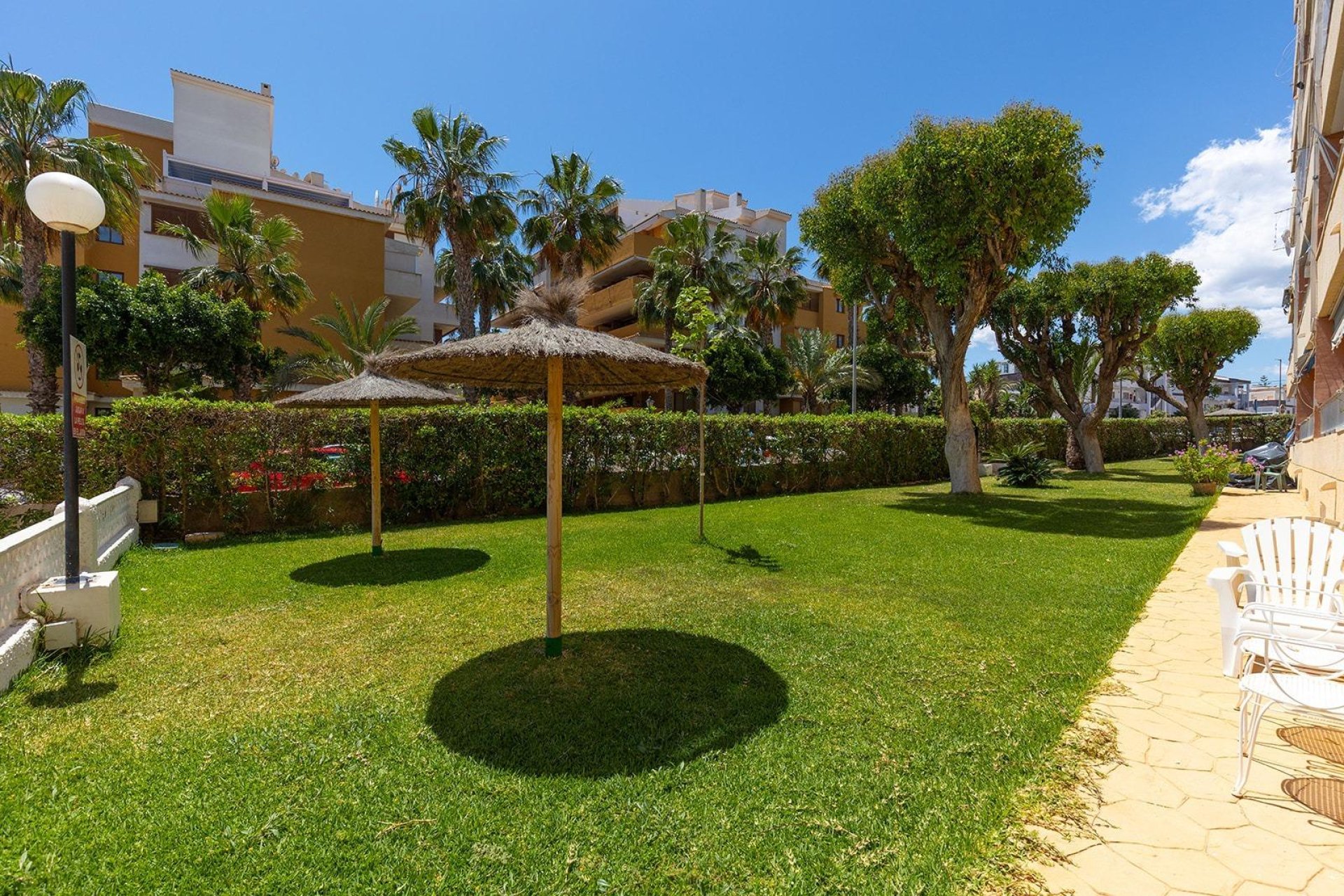 Segunda mano - Apartamento -
Torrevieja - Punta prima