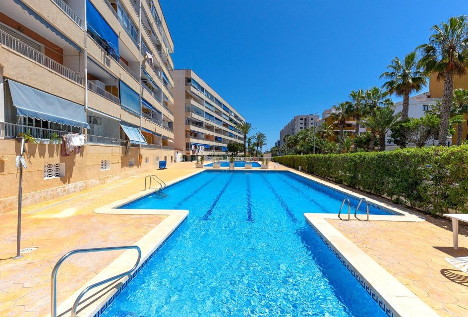 Segunda mano - Apartamento -
Torrevieja - Punta prima