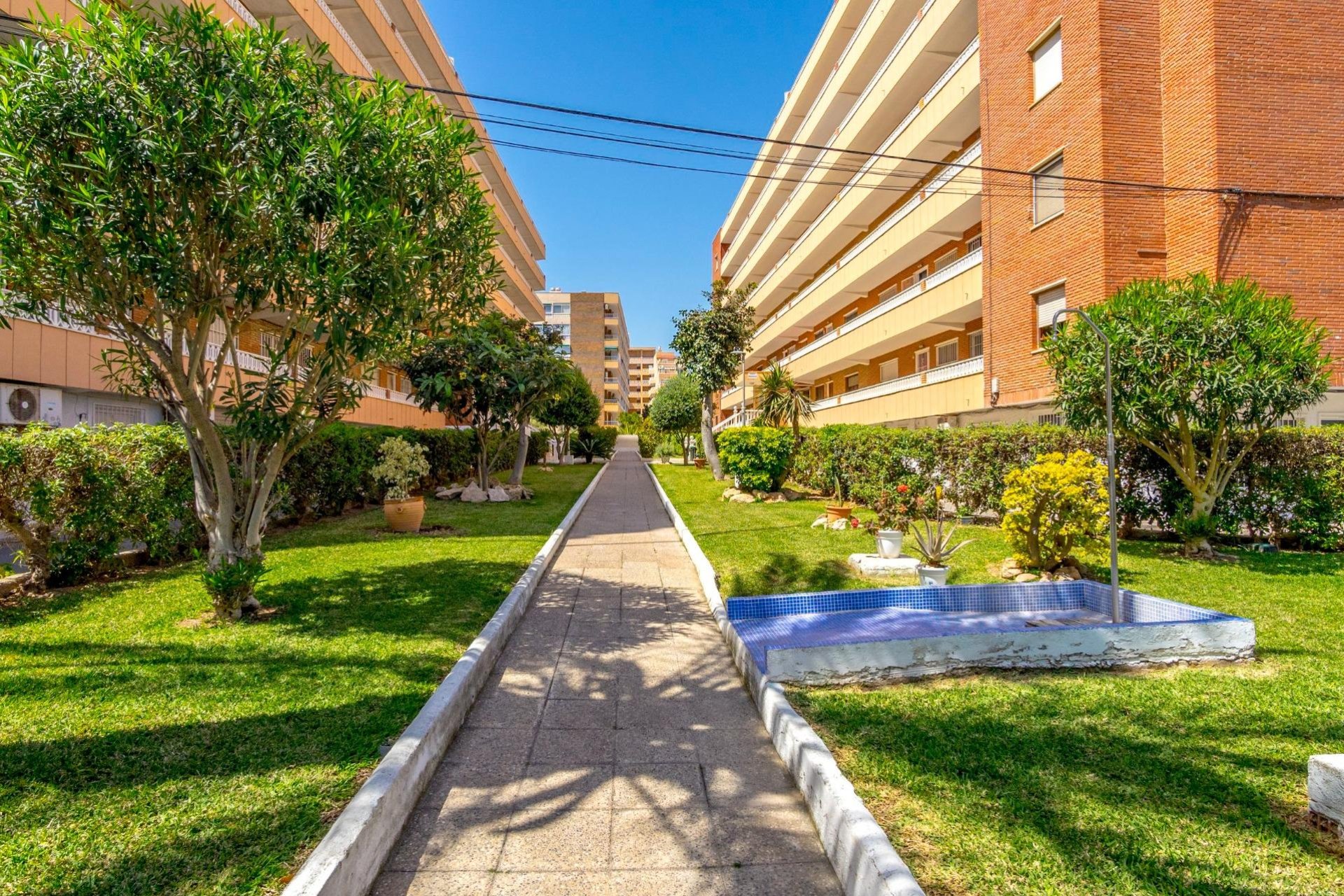 Segunda mano - Apartamento -
Torrevieja - Punta prima
