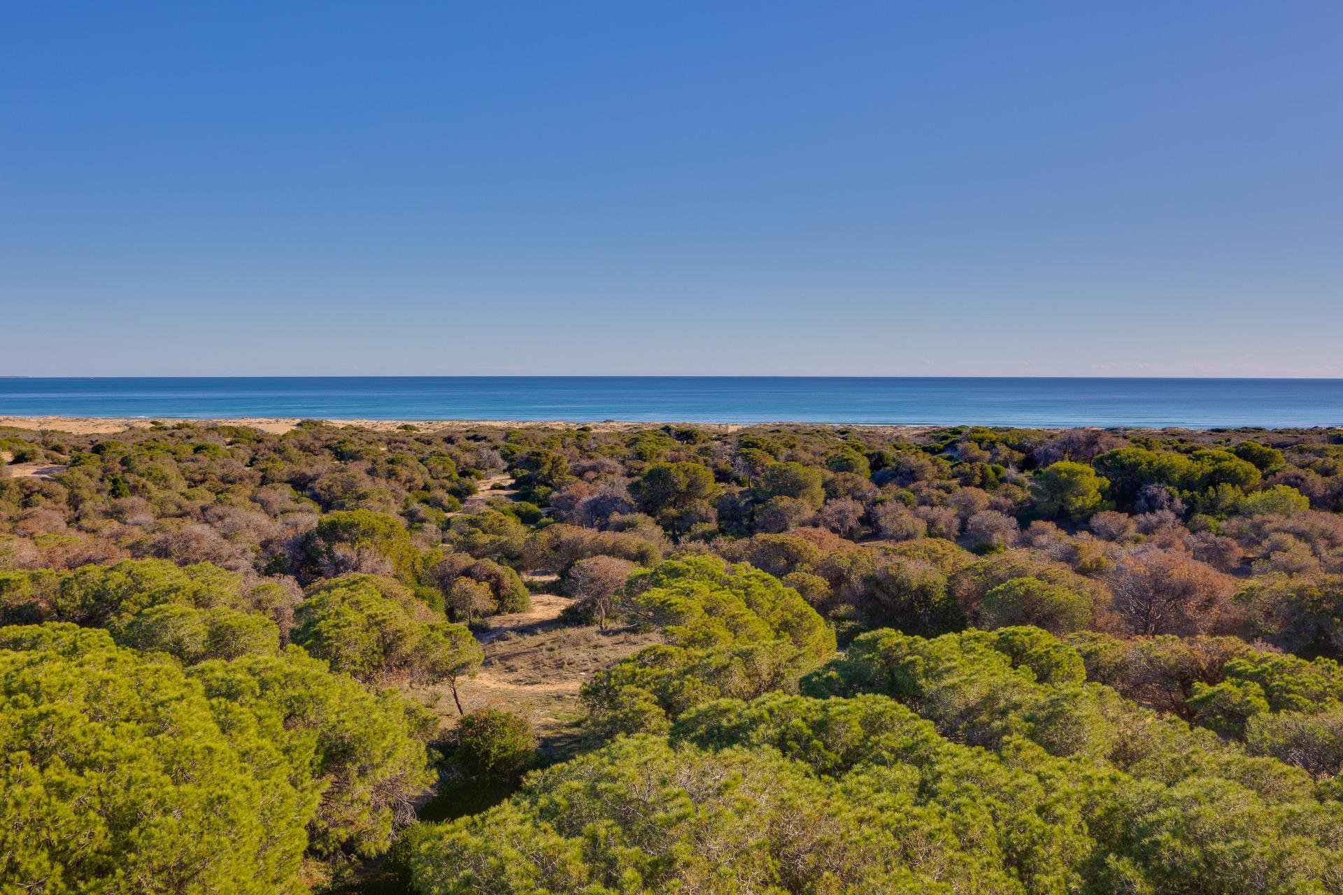Segunda mano - Ático -
Guardamar del Segura - Urbanizaciones