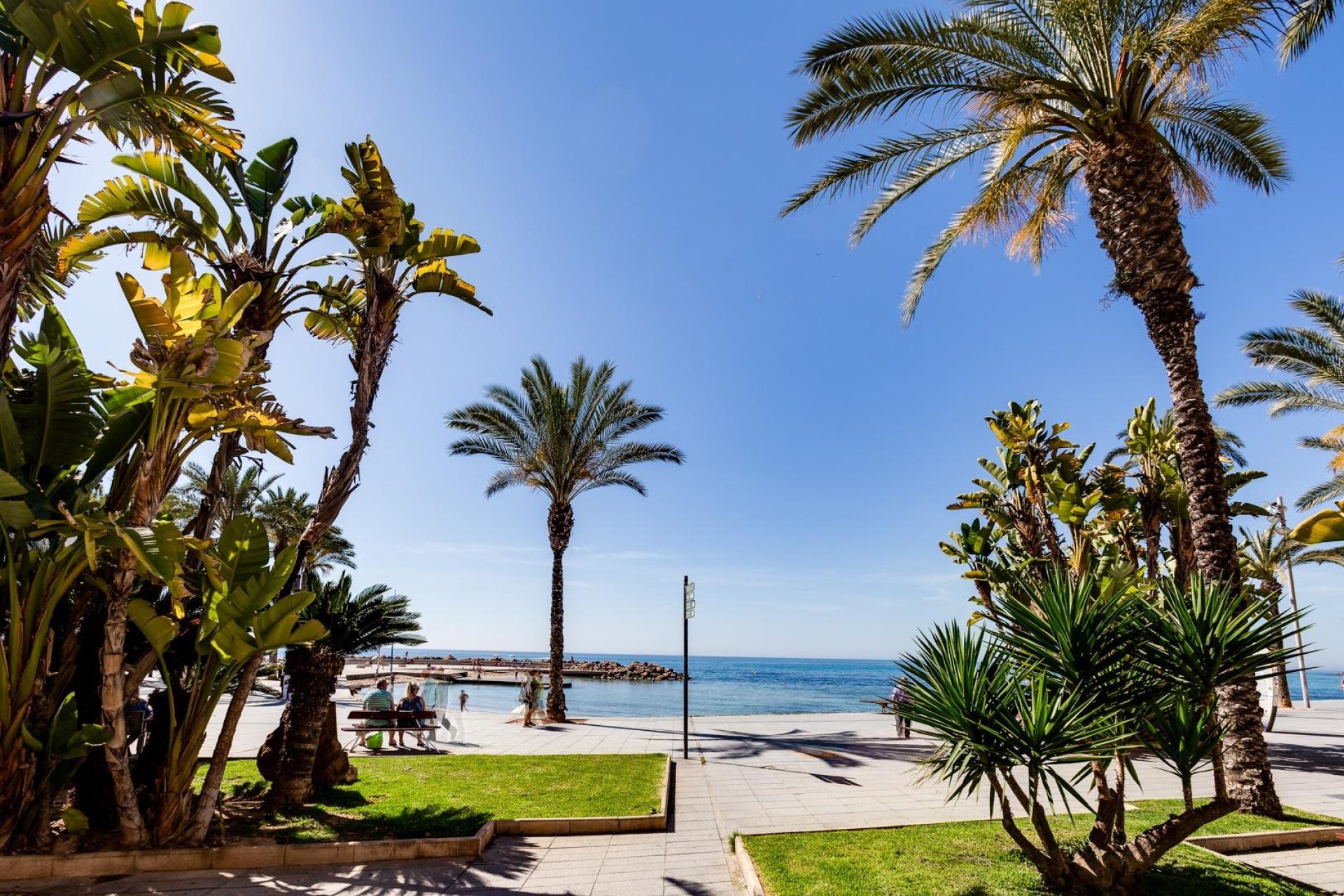 Segunda mano - Ático -
Torrevieja - Centro