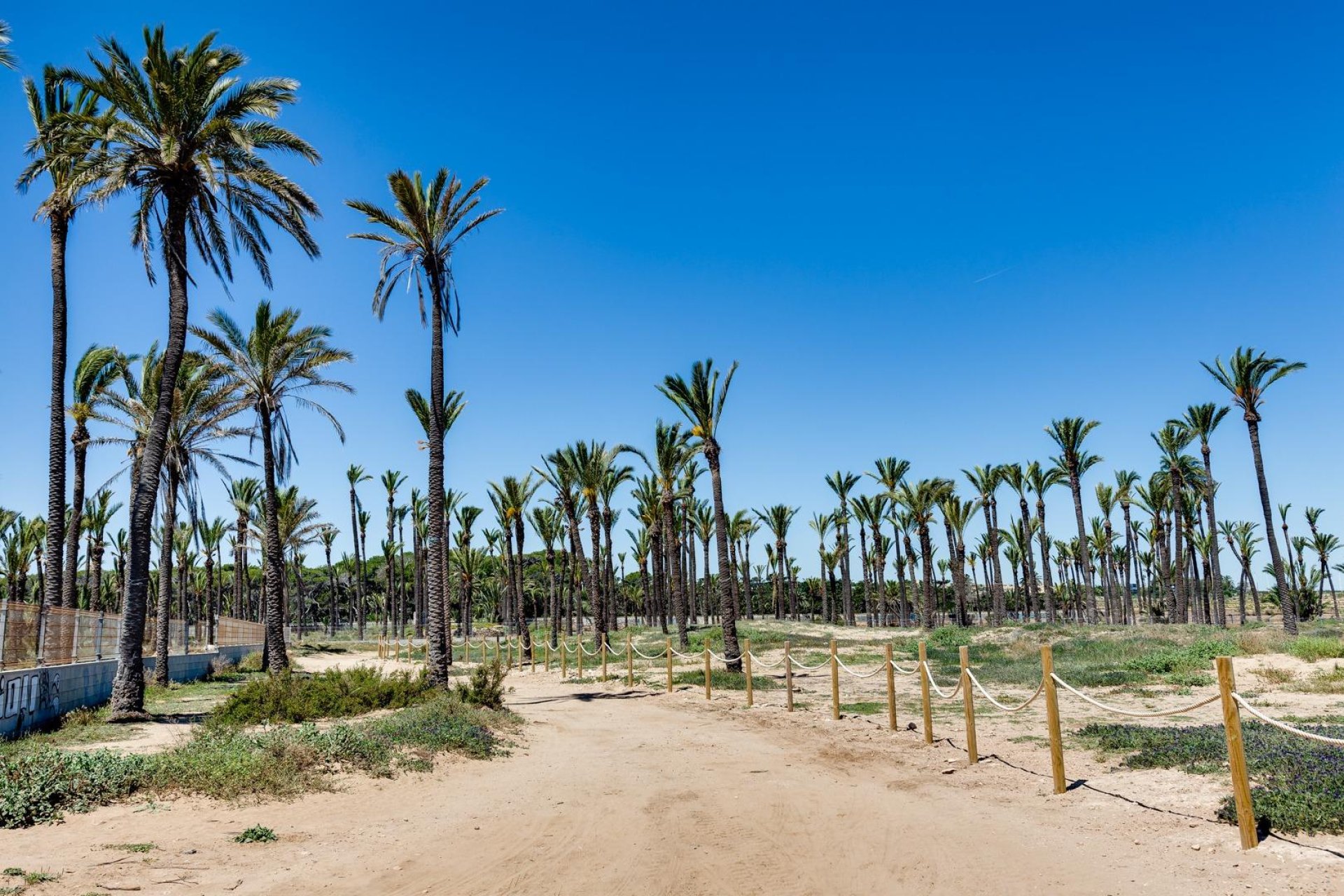 Segunda mano - Ático -
Torrevieja - Punta prima