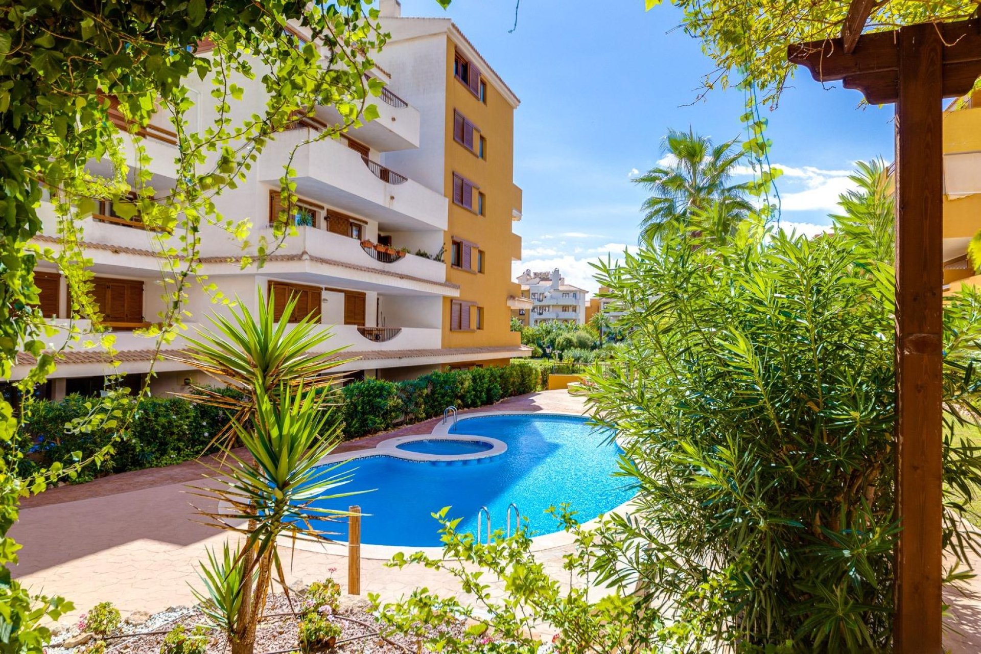 Segunda mano - Ático -
Torrevieja - Punta prima