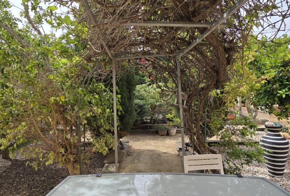 Segunda mano - Bungalow -
Orihuela Costa - La Regia