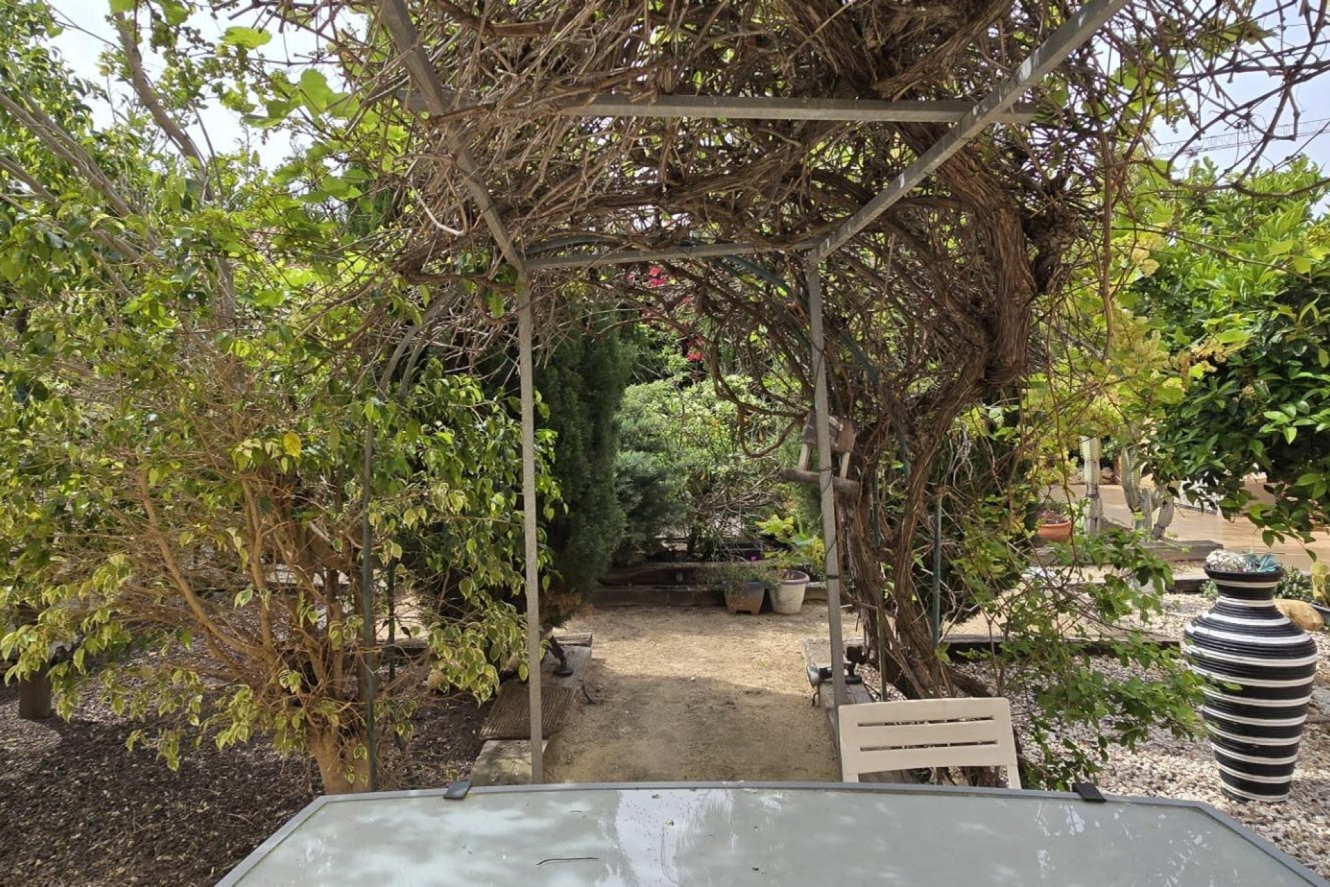 Segunda mano - Bungalow -
Orihuela Costa - La Regia