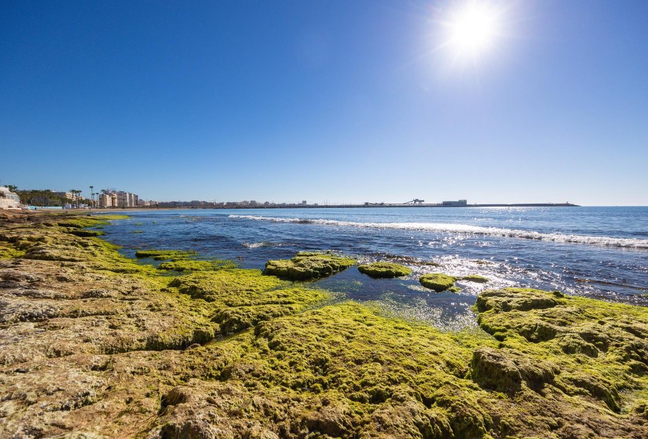 Segunda mano - Bungalow -
Torrevieja - Playa de los Naufragos