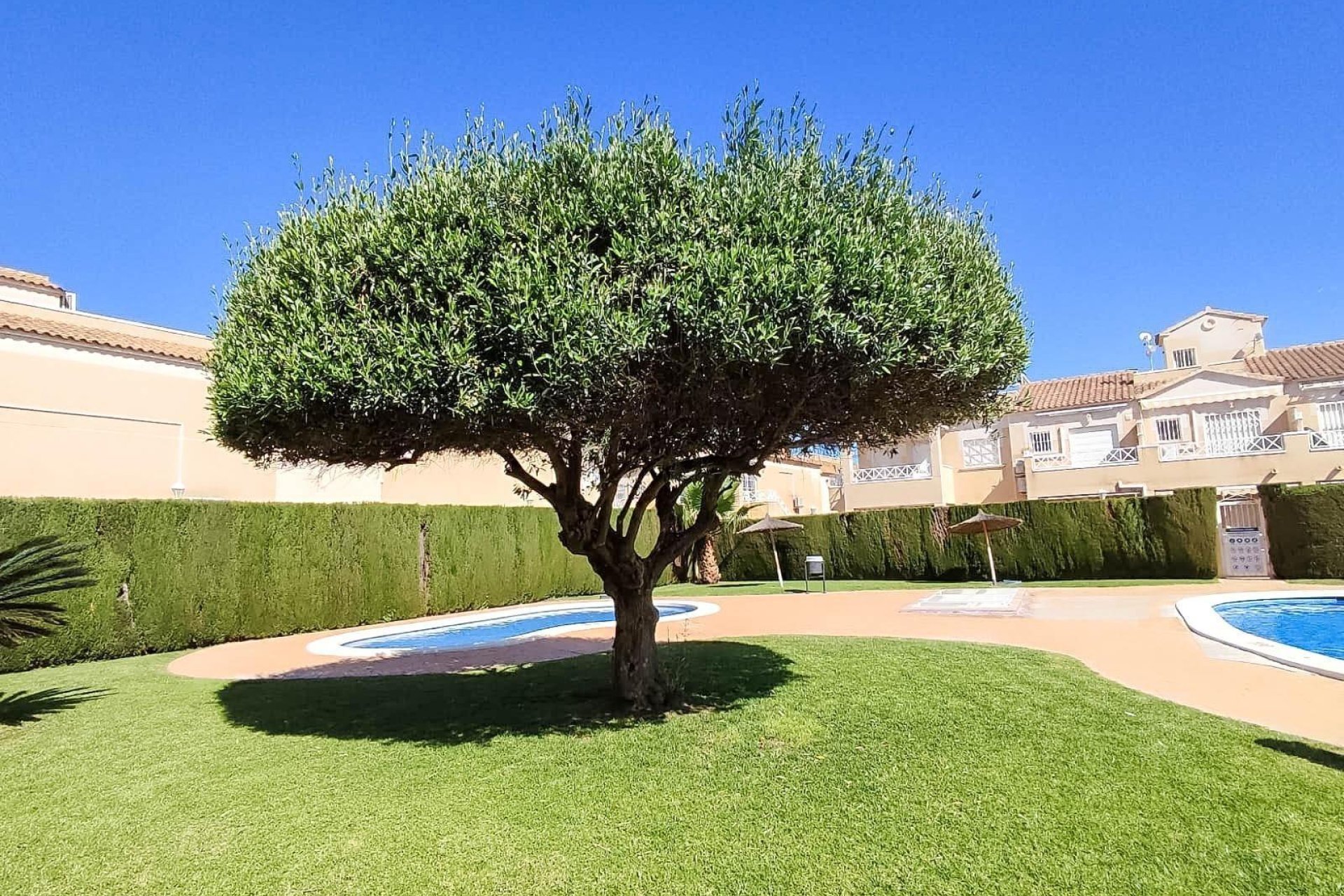Segunda mano - Bungalow -
Torrevieja - Sector 25