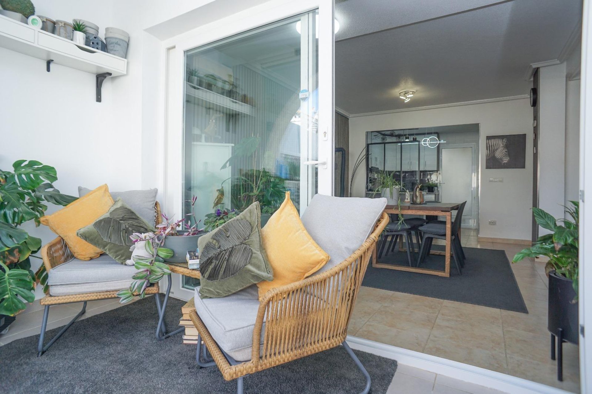 Segunda mano - Duplex -
Torrevieja - Aguas Nuevas