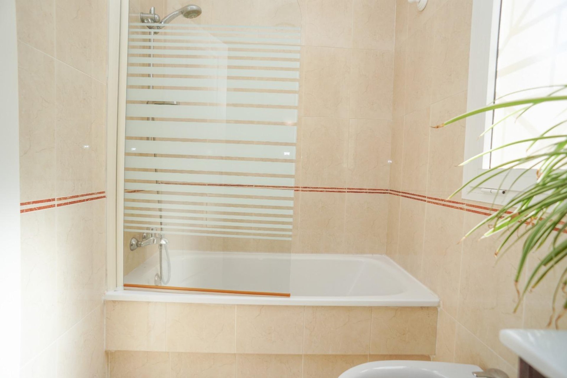 Segunda mano - Duplex -
Torrevieja - Aguas Nuevas