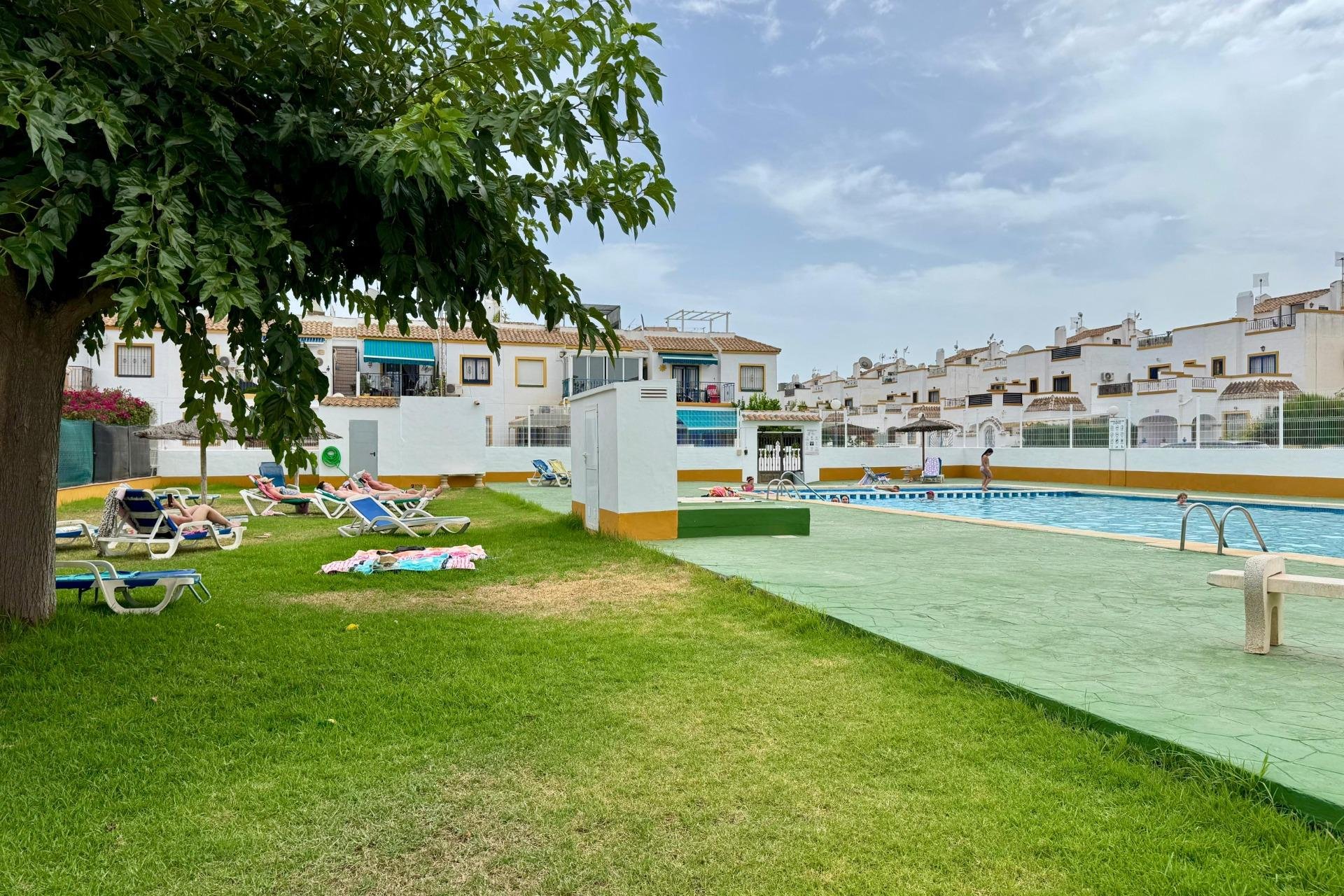 Segunda mano - Duplex -
Torrevieja - El limonar