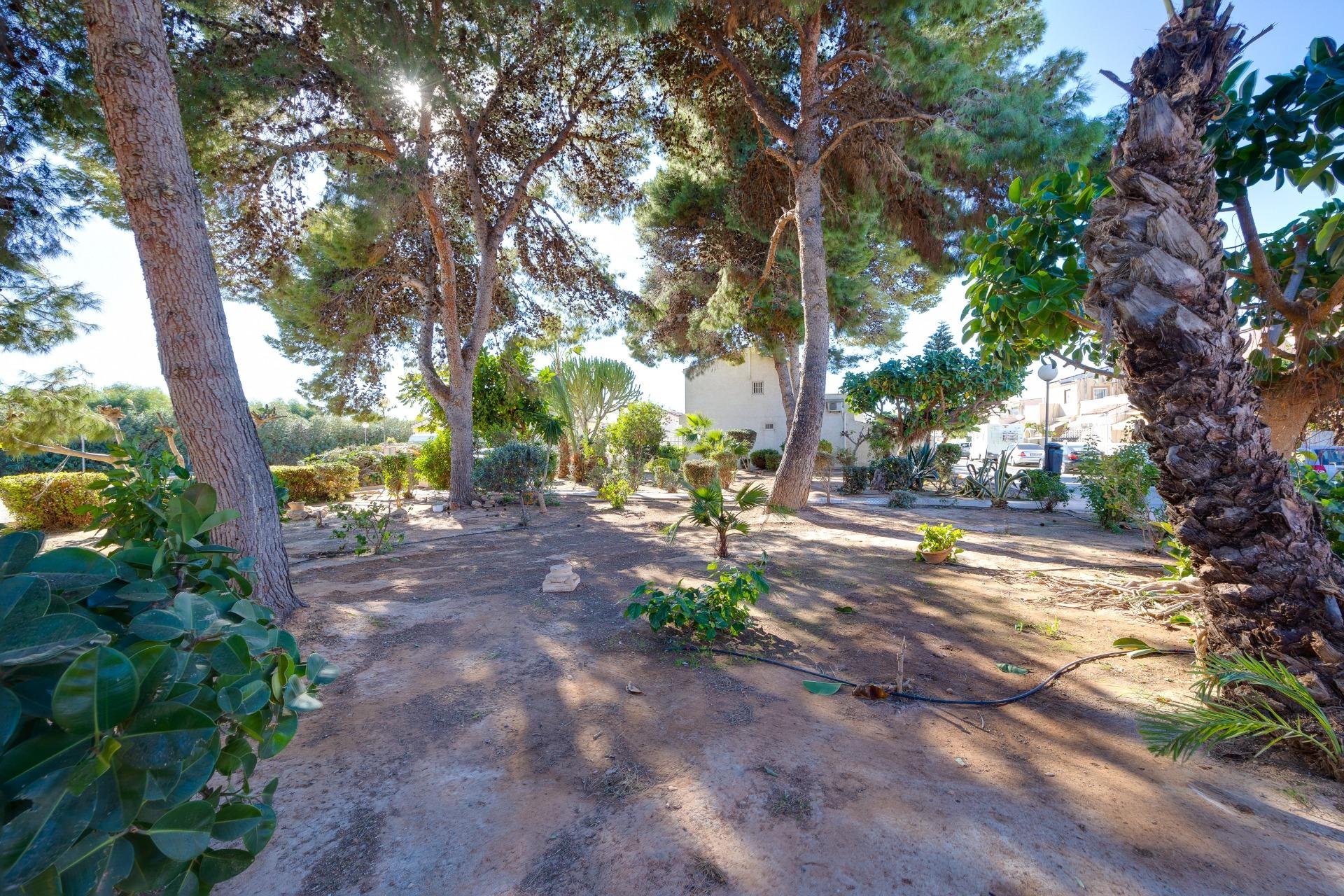 Segunda mano - Duplex -
Torrevieja - Paraje natural