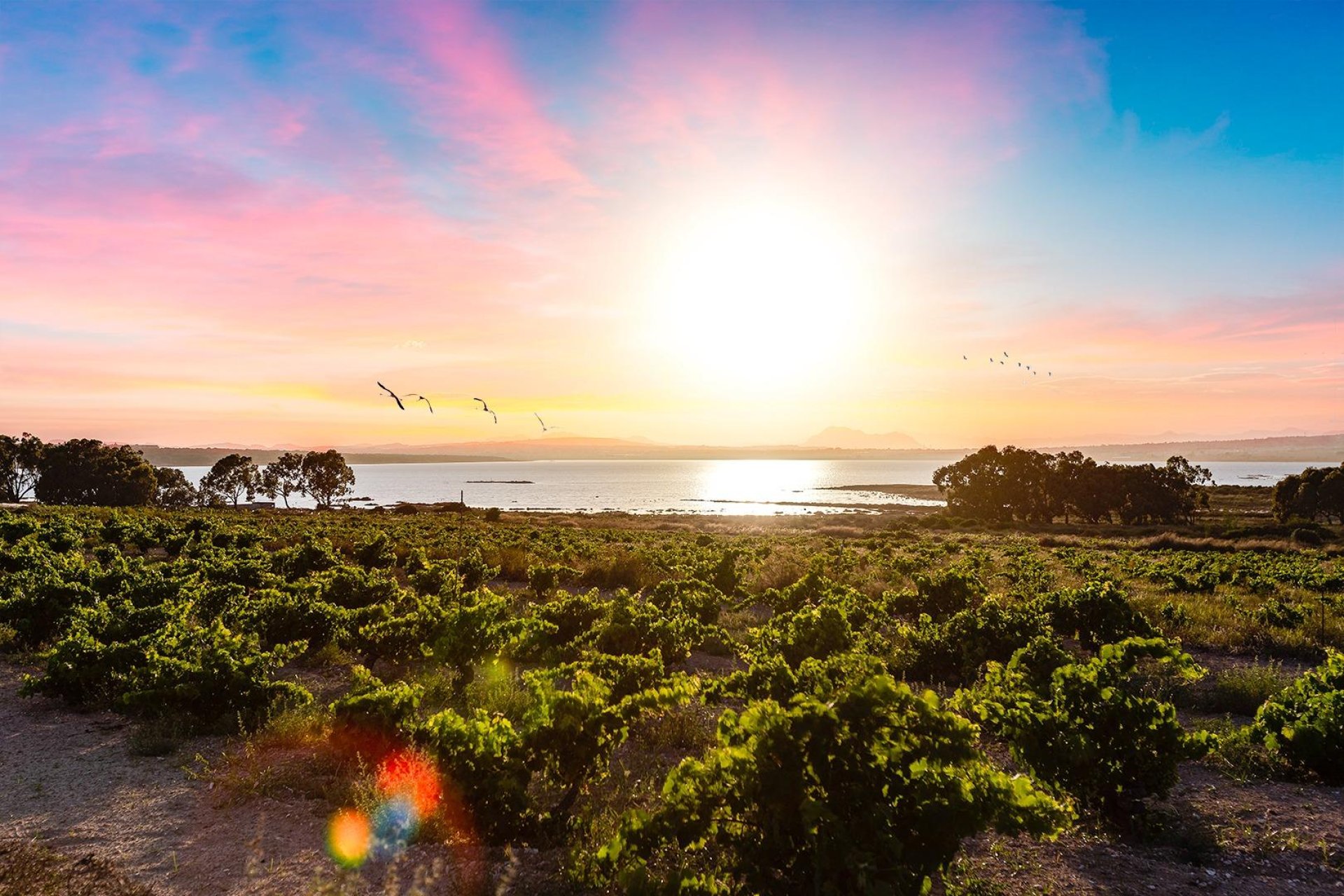 Segunda mano - Duplex -
Torrevieja - Paraje natural
