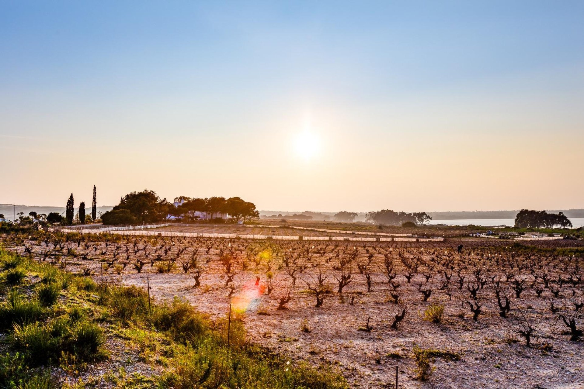 Segunda mano - Duplex -
Torrevieja - Paraje natural