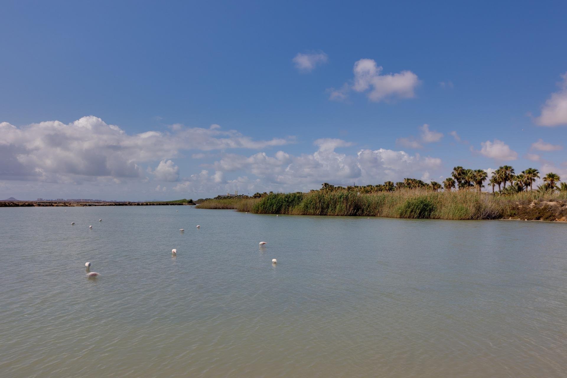 Segunda mano - Villa -
Pilar de la Horadada - Pinar de Campoverde