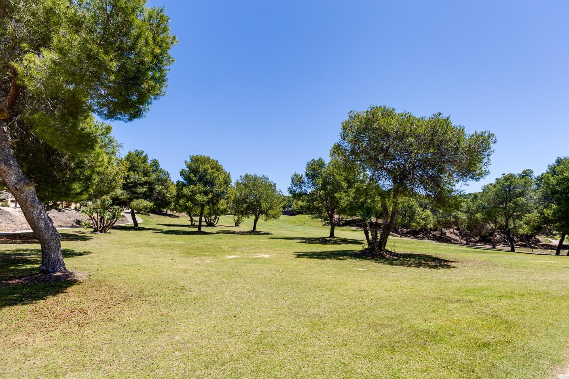 Segunda mano - Villa -
San Miguel de Salinas - Cerro del Sol