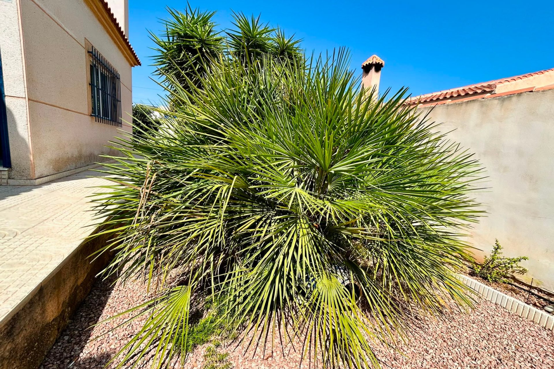 Segunda mano - - VILLA -
Torrevieja - Urbanización San Luis