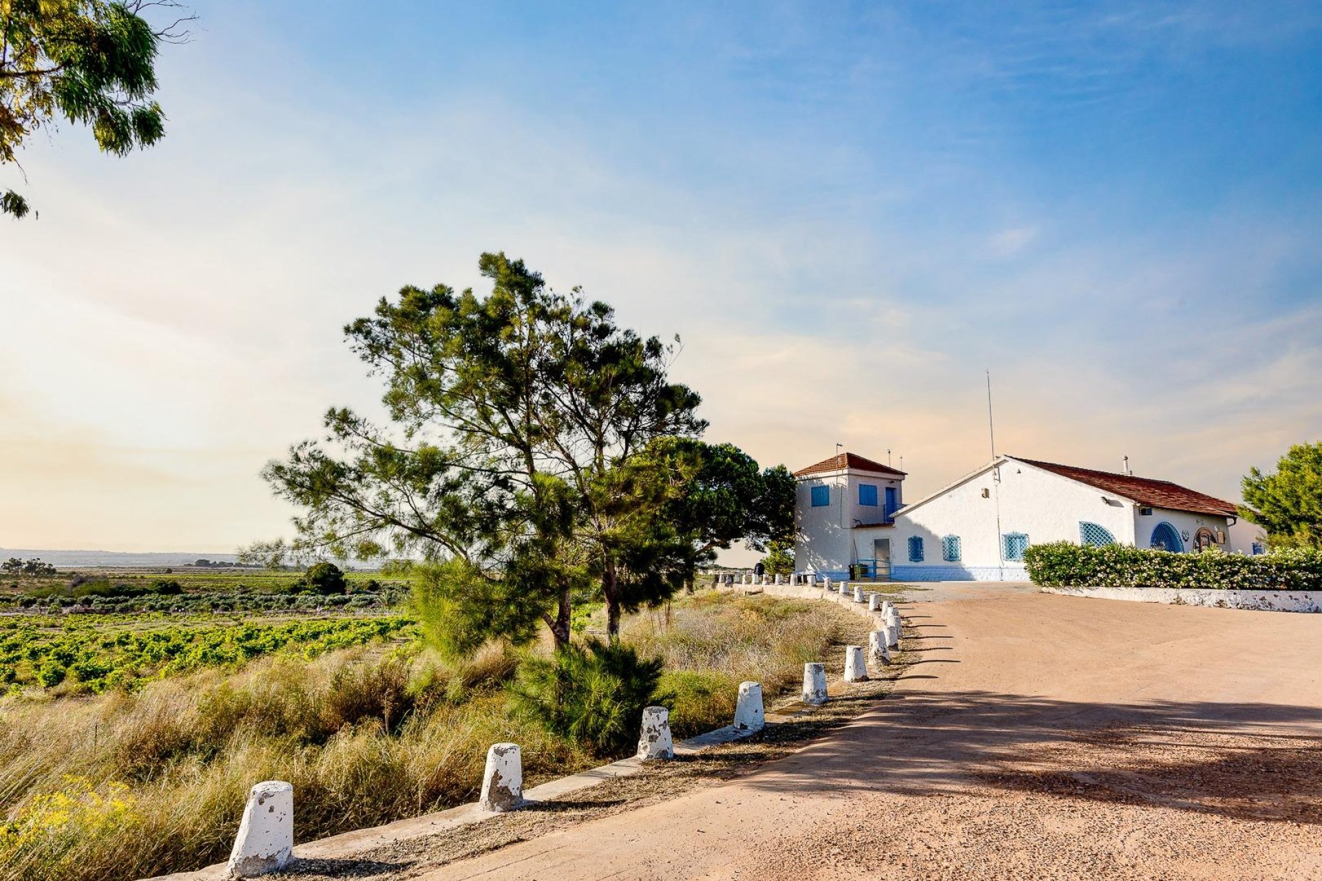 Wiederverkauf - Bungalow -
Torrevieja - San luis