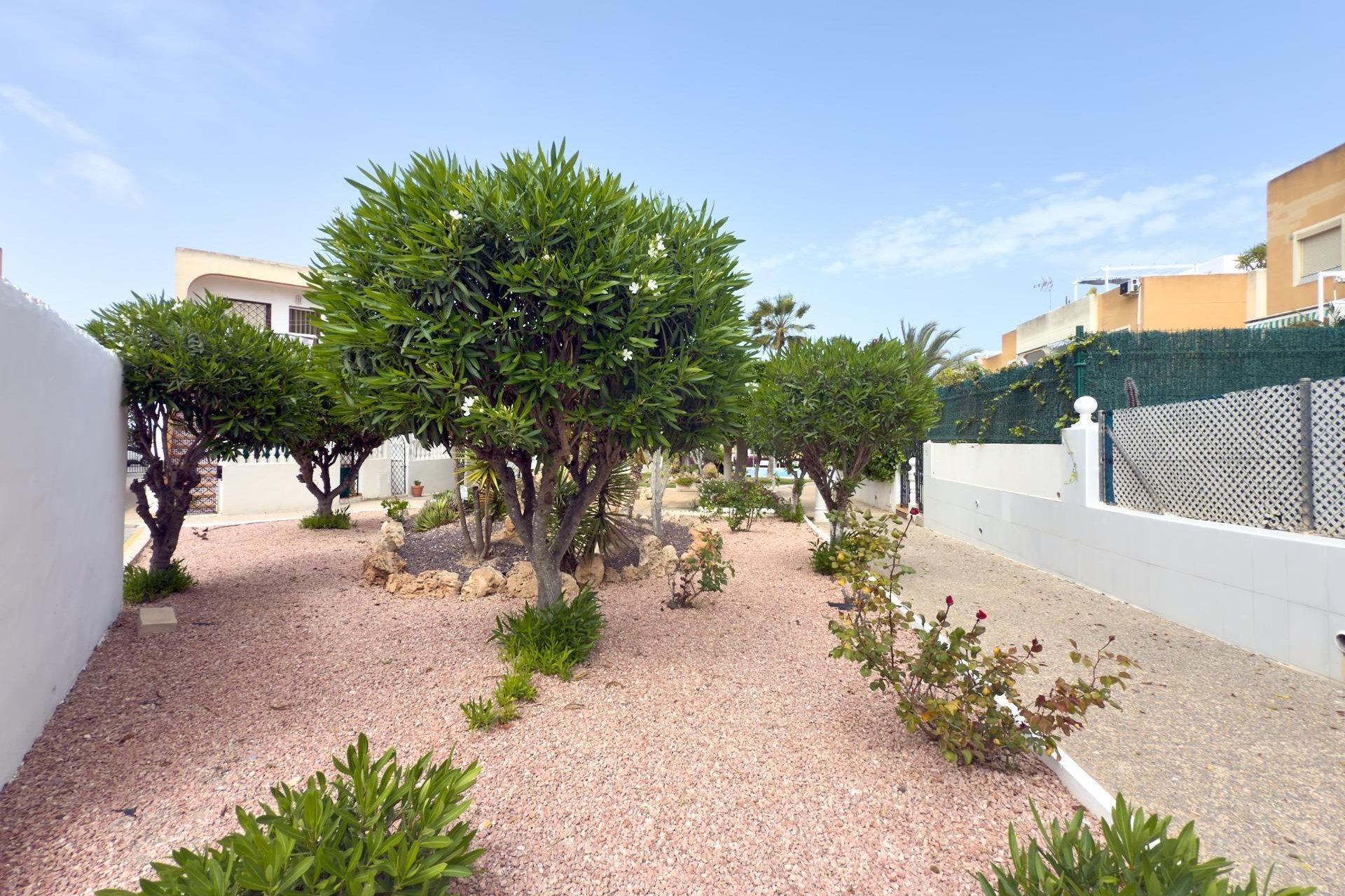 Wiederverkauf - Bungalow -
Torrevieja - Torreblanca