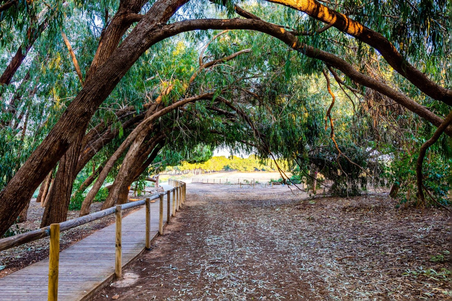 Wiederverkauf - Duplex -
Torrevieja - Paraje natural