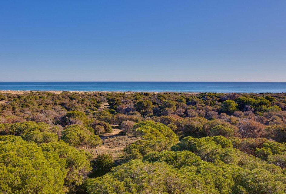 Wiederverkauf - Penthouse -
Guardamar del Segura - Urbanizaciones