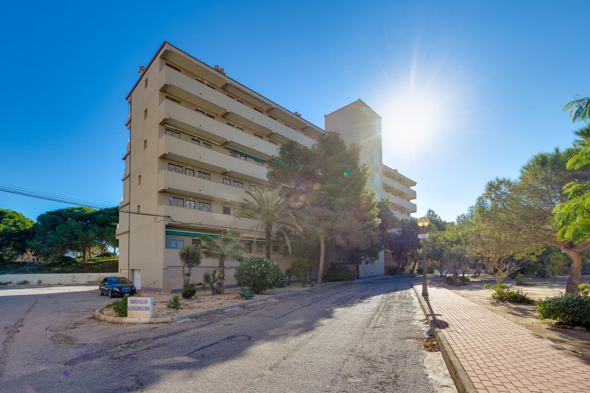 Wiederverkauf - Penthouse -
Guardamar del Segura - Urbanizaciones