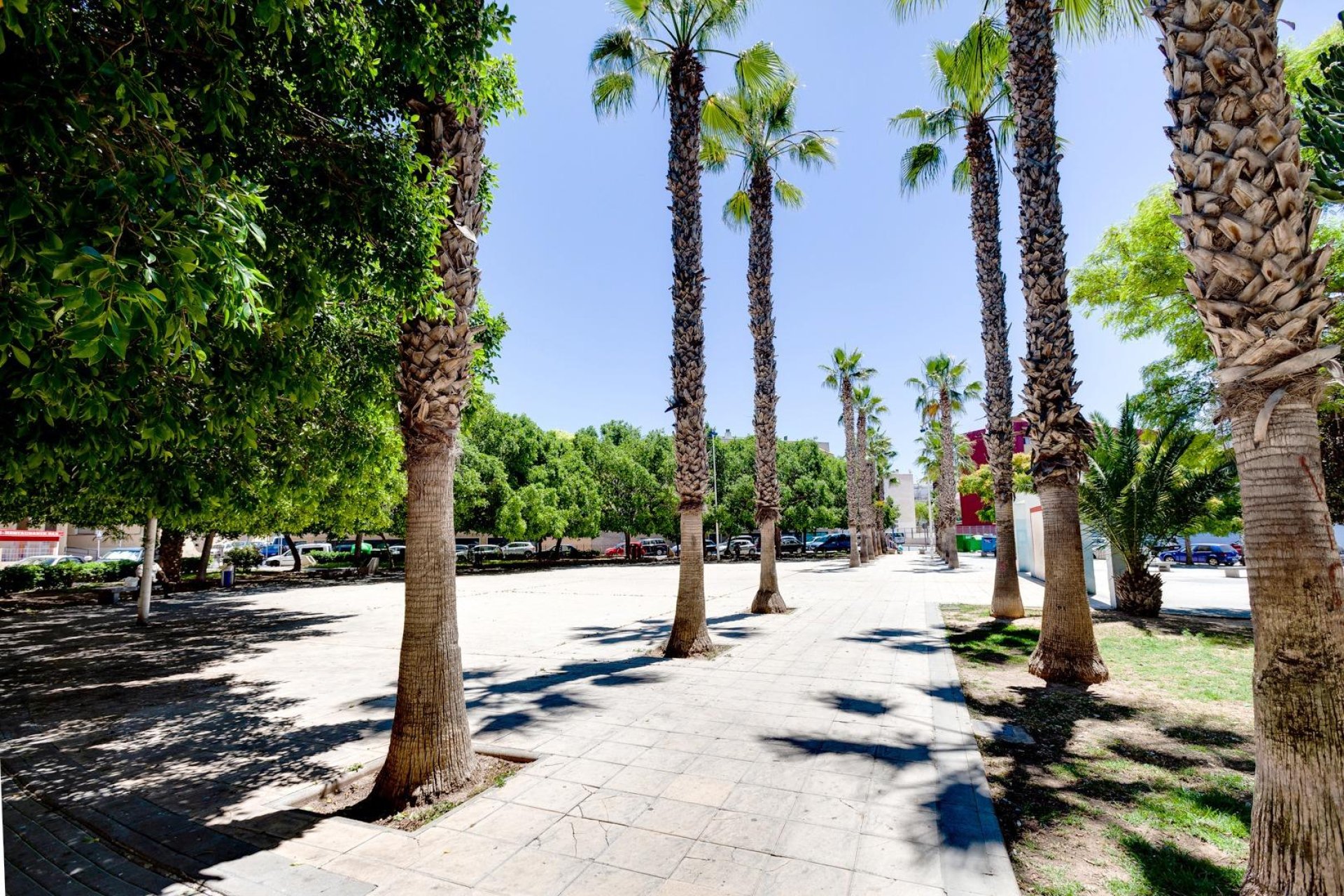 Wiederverkauf - Penthouse -
Torrevieja - Calas blanca