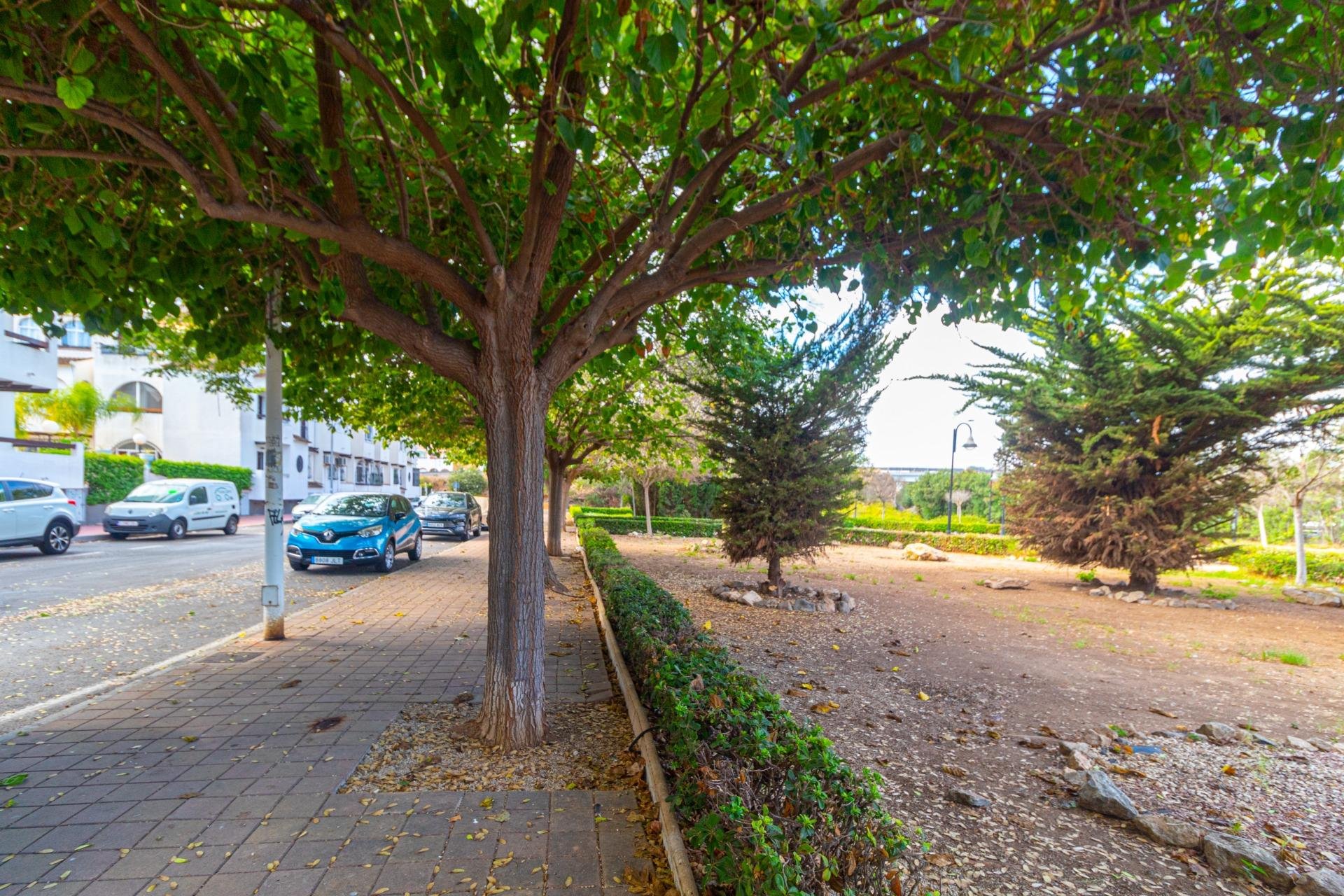 Wiederverkauf - Penthouse -
Torrevieja - Playa de los Naufragos