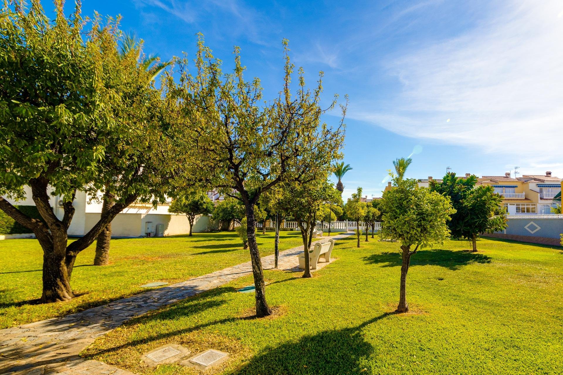 Wiederverkauf - Stadthaus -
Torrevieja - La Siesta - El Salado - Torreta